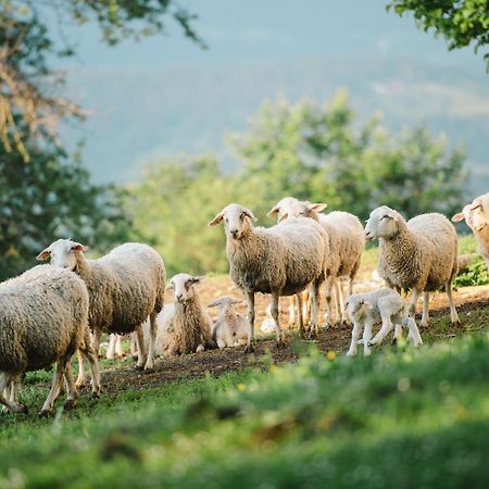 Eco Tourist Farm Ravnjak スロヴェニ・グラデツ エクステリア 写真