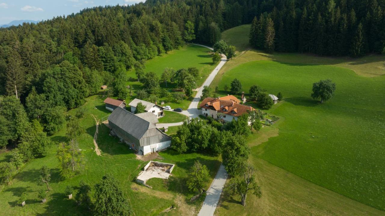 Eco Tourist Farm Ravnjak スロヴェニ・グラデツ エクステリア 写真